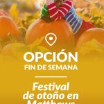 OPCION-FIN-DE-SEMANA