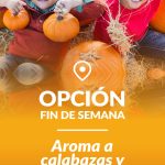 OPCION-FIN-DE-SEMANA