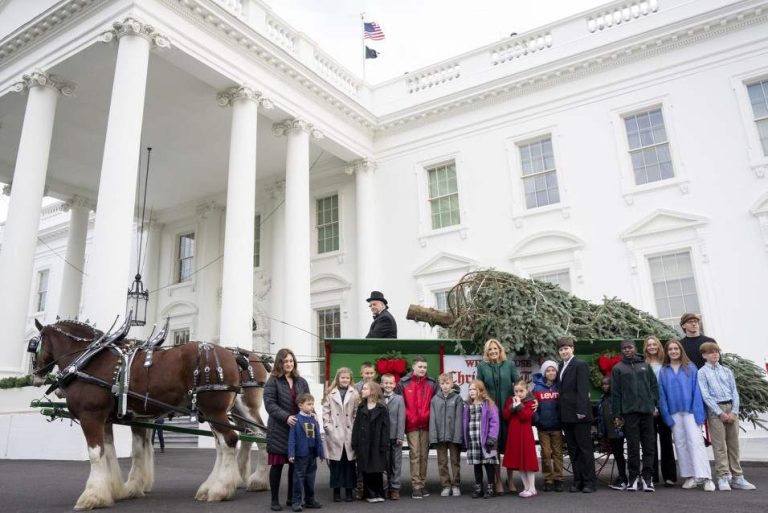 Llegó el Árbol de Navidad a The White House
