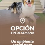 OPCION-FIN-DE-SEMANA-2