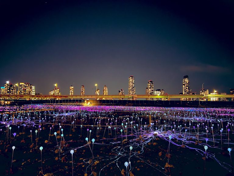 New York brilla con las luces de «Field of Light»