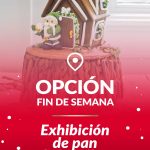 OPCION-FIN-DE-SEMANA (3)