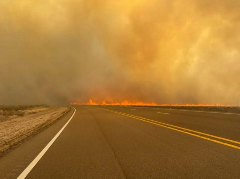 Texas en alerta por mortíferos incendios forestales