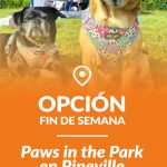 OPCION-FIN-DE-SEMANA