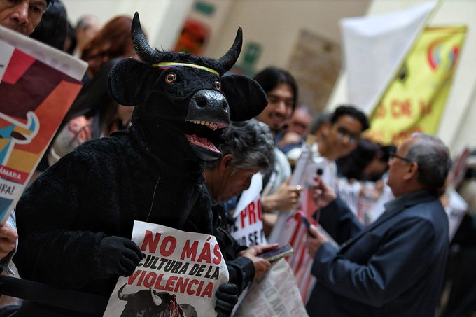 Prohiben corridas de Toros en Colombia
