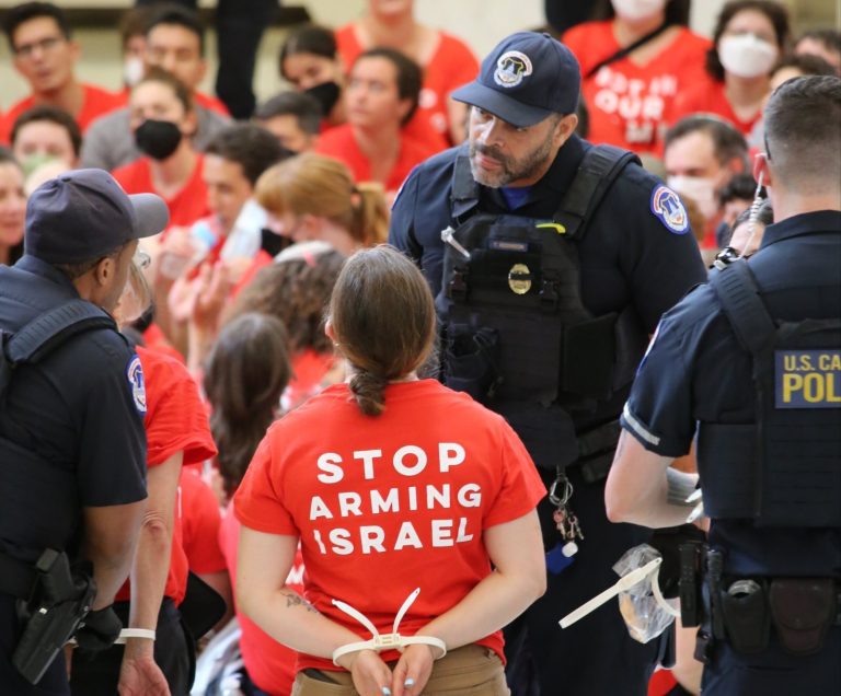 Activistas propalestinos protestaron en el Capitolio