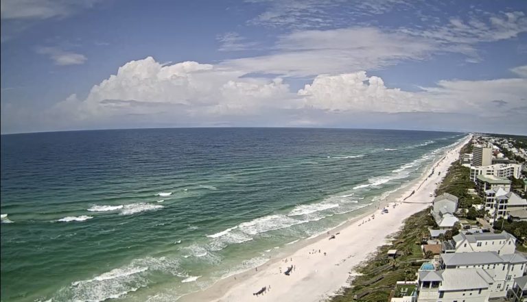 Autoridades en Florida en alerta por ataques de tiburones