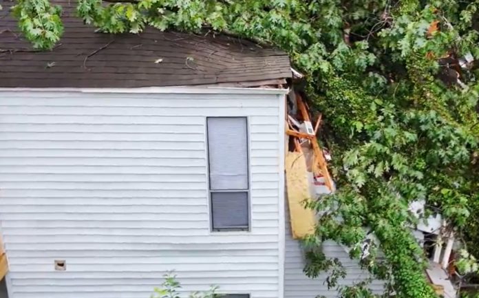Una persona muere tras caída de árbol sobre su edificio