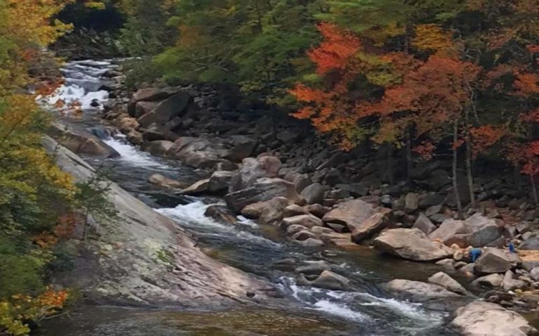 Madre y su hijo se ahogaron en Wilson Creek