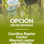 OPCION-FIN-DE-SEMANA