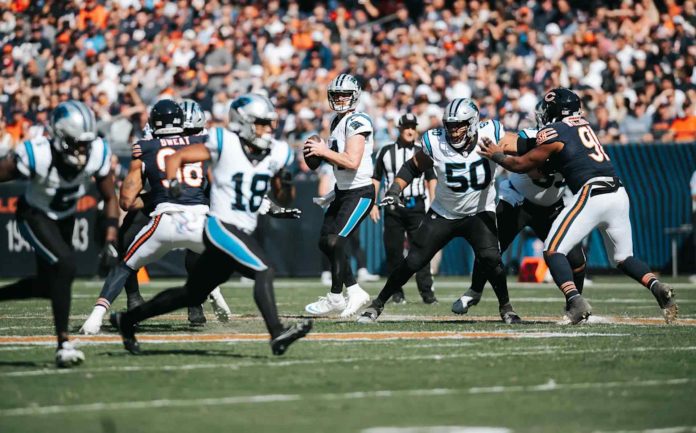 En cifras: Panthers vs Bears