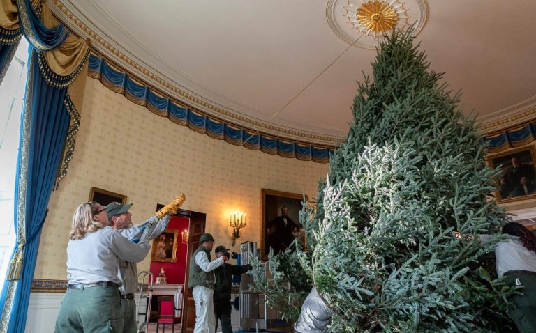 Por décima vez, el árbol de Navidad de la Casa Blanca será de NC