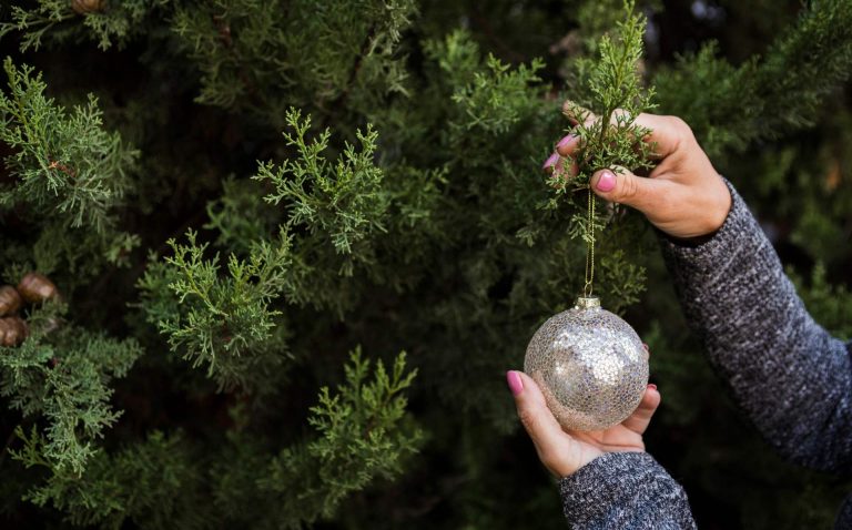 7 granjas y lotes de árboles de Navidad cerca de Charlotte