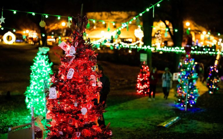 Cinco lugares para disfrutar la magia de la navidad