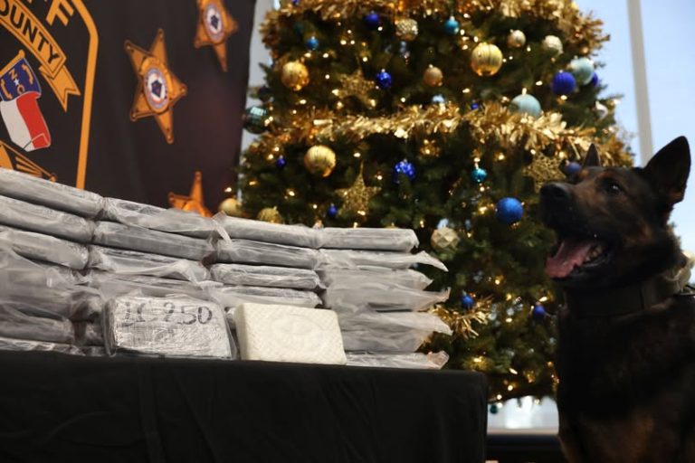 Detectives de narcóticos arruinan la "Blanca Navidad" del traficante