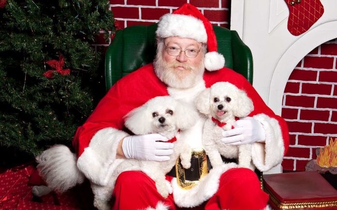 Fotografía para su perro con Papá Noel