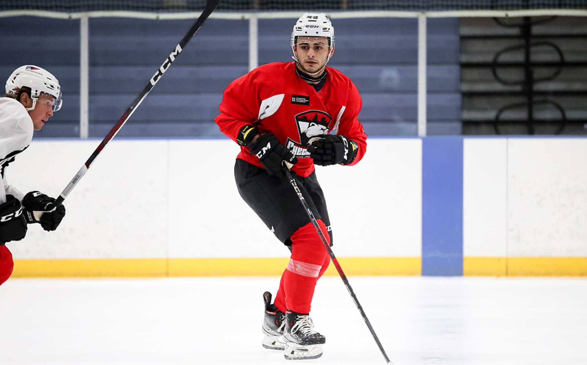 Los Checkers convocan a Nicholas Zabaneh, de Savannah - Progreso ...