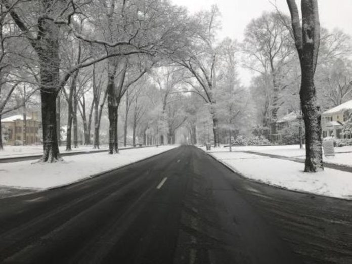 Aviso de tormenta invernal: Llame al 911 por emergencias con árboles