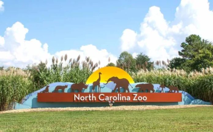 El Zoológico de NC busca el primer lugar en los Reader's Choice Awards 2025