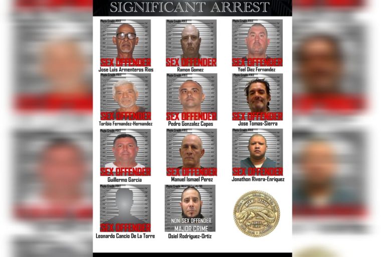 Detienen en Miami a 10 migrantes vinculados en delitos sexuales