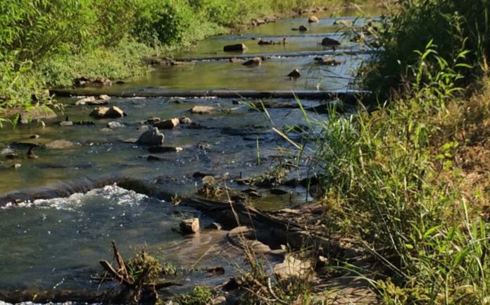 Organizan la Semana de los Arroyos en Mecklenburg