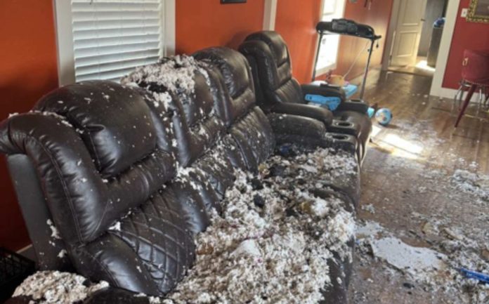 Madre de dos niños enfrenta crisis tras perder su vivienda en un incendio