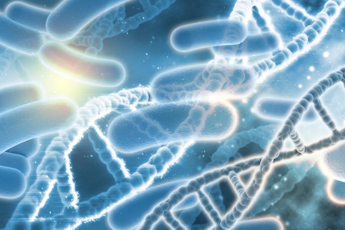 CDC informaron un brote de salmonela