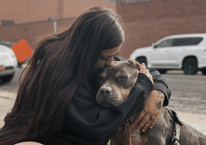 Protege a tus mascotas durante las celebraciones del 4 de julio