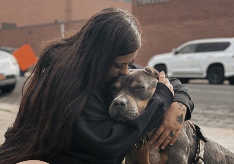 Protege a tus mascotas durante las celebraciones del 4 de julio