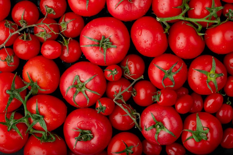 México criticó los nuevos aranceles a las importaciones del tomate