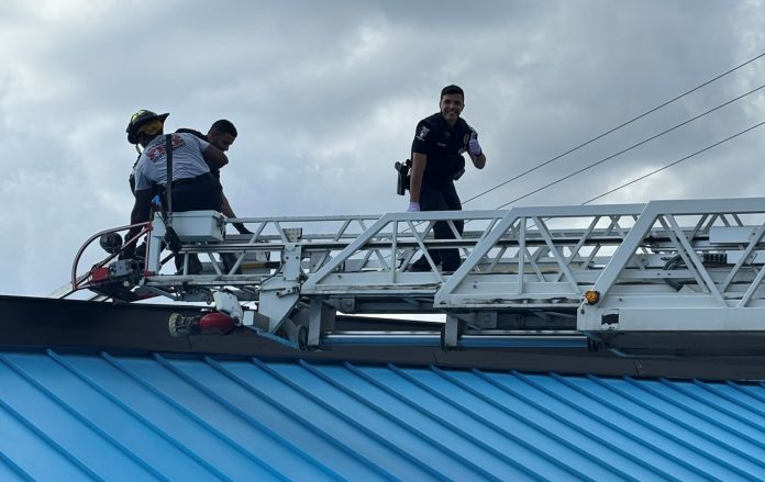 Dueño de restaurante sorprende a un intruso en el techo y evita millonario robo