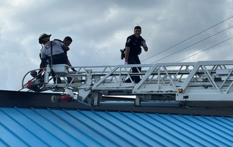 Dueño de restaurante sorprende a un intruso en el techo y evita millonario robo