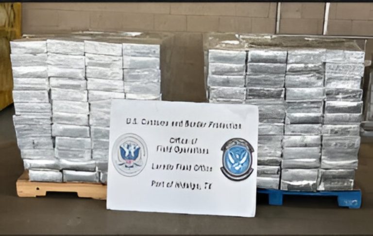 Incautan más de mil kilogramos de metanfetamina en un tráiler con papayas