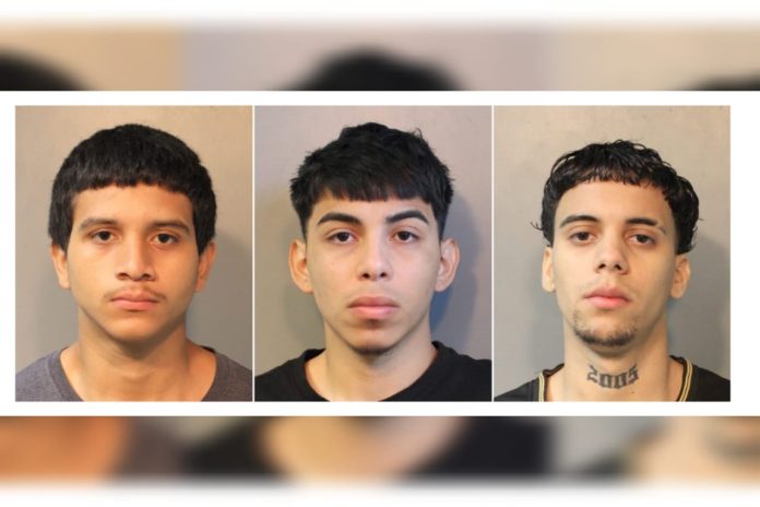 Arrestan a tres miembros de la pandilla MS-13 en New York