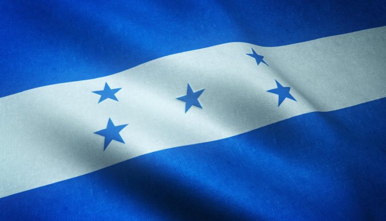 Hondureños en NC convocan plantón pacífico por respeto a sus votos