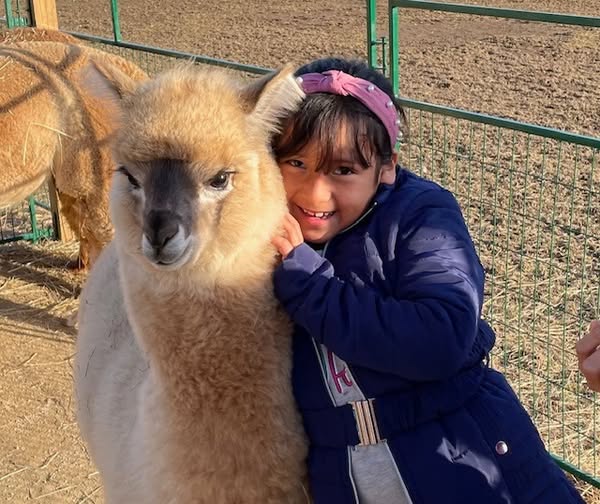 ¿Dónde celebrar el Día Nacional Anual de Granjas de Alpacas?