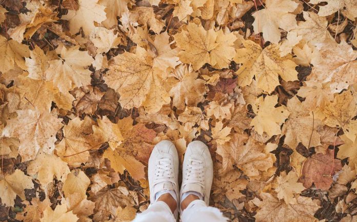 Festival de comida armenia de otoño