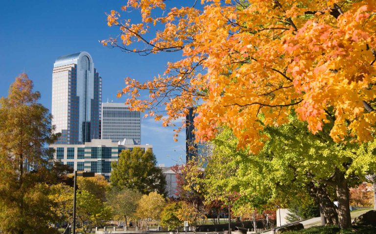 5 cosas para hacer este otoño en Charlotte