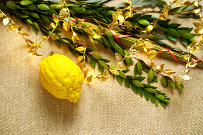 EE.UU. emite guía para viajeros por la festividad de Sukkot