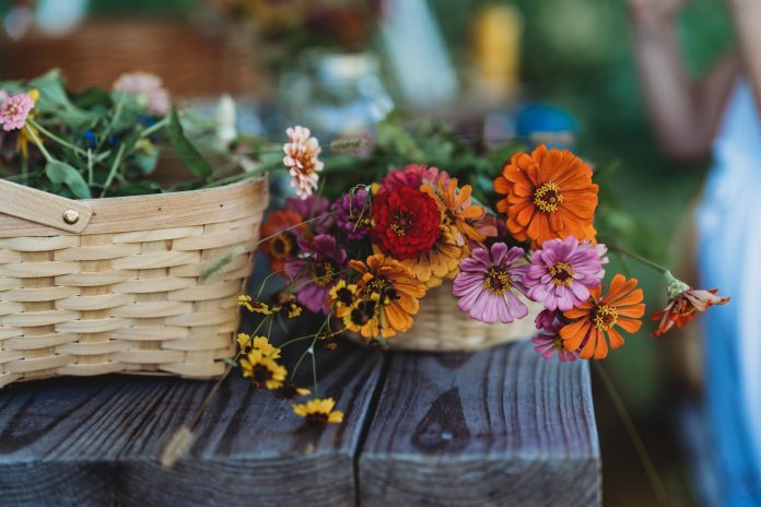 Mercado de agricultores de East Charlotte en McLawland Farms este otoño