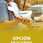 cover opcion fin de semana web oct 3 2025