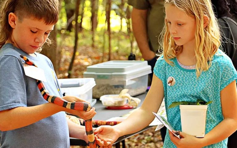 Opción Fin de Semana: Día de los niños en la naturaleza