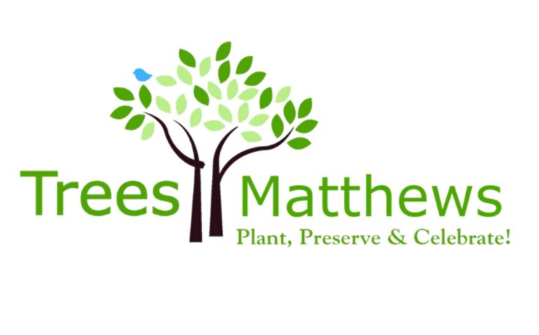 Sorteo anual de árboles de TreesMatthews ¡Ya puede registrarse!