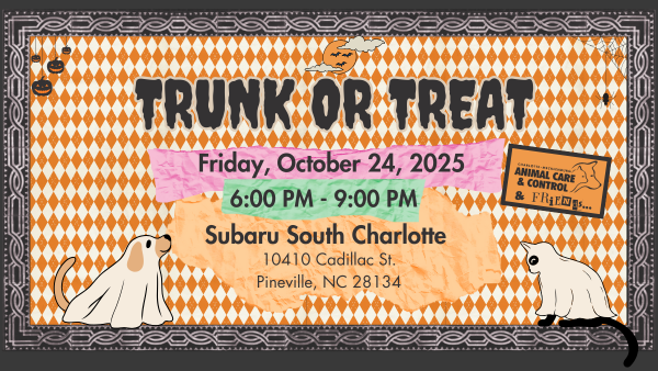 Charlotte organiza actividades y clínicas gratuitas para el bienestar de las mascotas