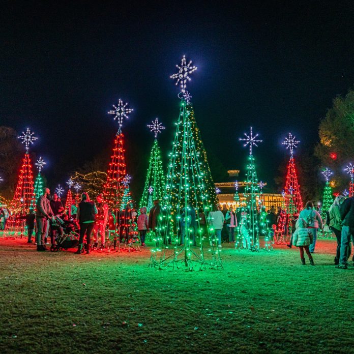 Opción Fin de Semana: Encendidos de árboles de Navidad