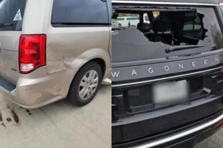 DHS: Patrulla Fronteriza sufre múltiples ataques violentos en Chicago