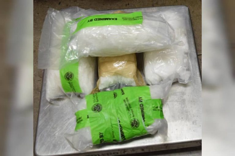 CBP intercepta cargamento de metanfetamina valorado en más de $200.000