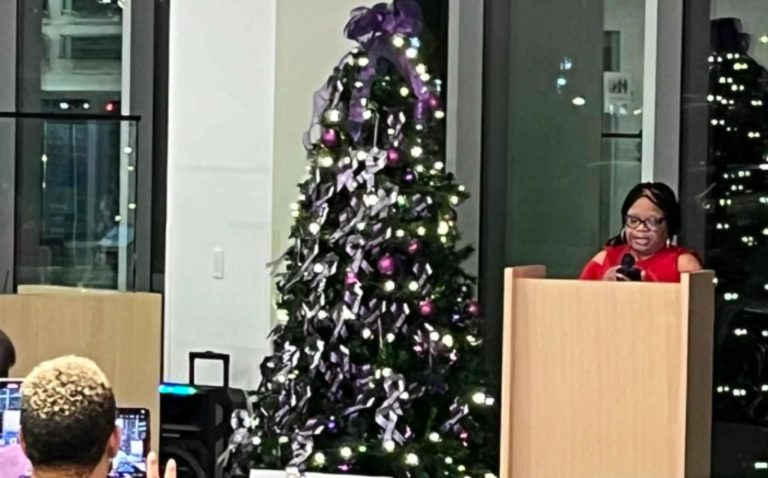 Encendido del 21.° Árbol Conmemorativo Anual de la Violencia Doméstica