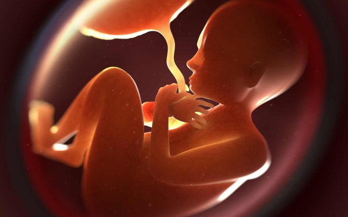 Investigan a joven por homicidio y muerte de un feto tras caso de violencia doméstica