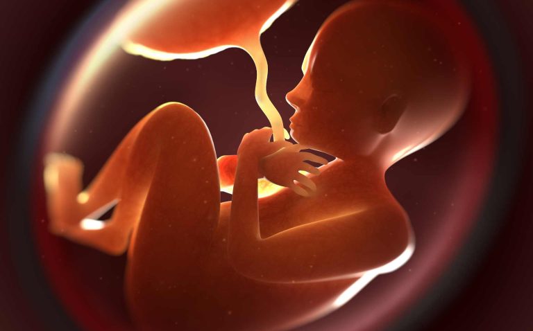 Investigan a joven por homicidio y muerte de un feto tras caso de violencia doméstica